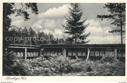 Lueneburger Heide Bienenkoerbe