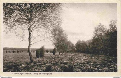 LueNEBURGER HEIDE HAIDE Landschaftspanorama Lueneburger Heide Weg am Steingrund
