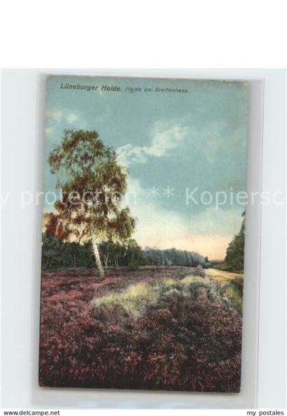 Lueneburger Heide Heide Breitenhees
