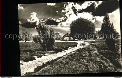 Lueneburger Heide Heidestimmung