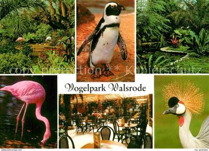 Walsrode Lueneburger Heide Vogelpark