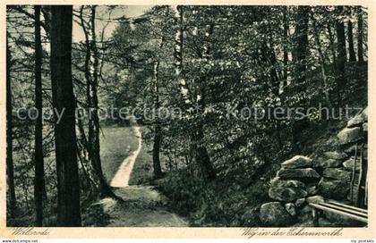 Walsrode Lueneburger Heide Weg in der Eckernworth