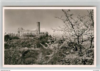 Weinheim Bergstrasse Burgruine Windeck