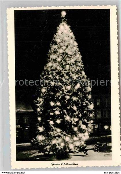 Wermelskirchen Mammutkiefer Weihnachtsbeleuchtung