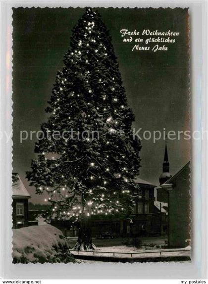 Wermelskirchen Mammutkiefer Weihnachtsbeleuchtung