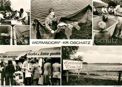 Wermsdorf Horstsee Fischer Details