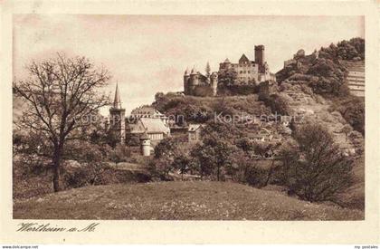 Wertheim Main BW Burg-Wertheim Kirche Huegel Wald Stadtansicht Wiese