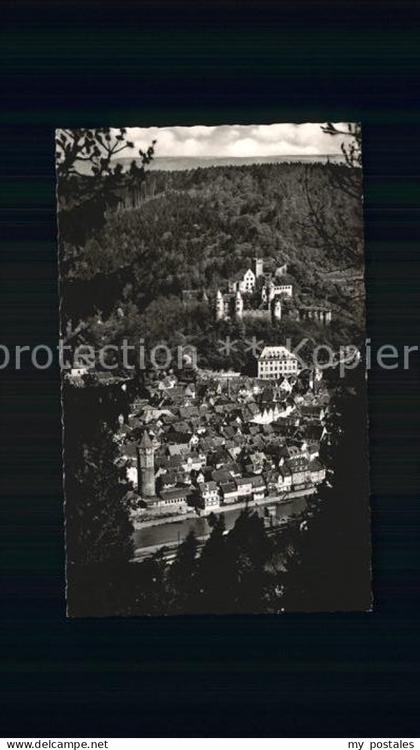 Wertheim Main Totalansicht