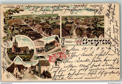 13635244 - Westerstede