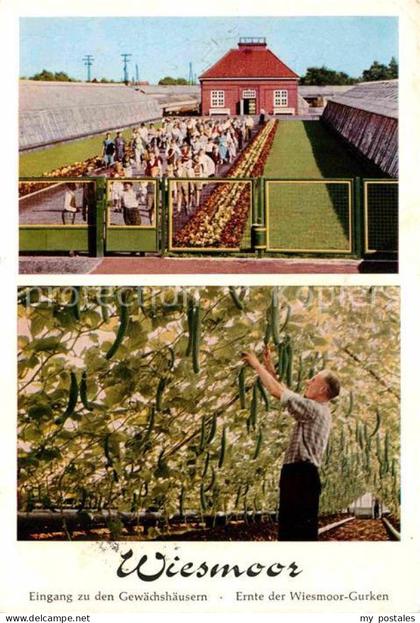 Wiesmoor Aurich Niedersachsen Eingang zu den Gewaechshaeusern Ernte Wiesmoor Gur