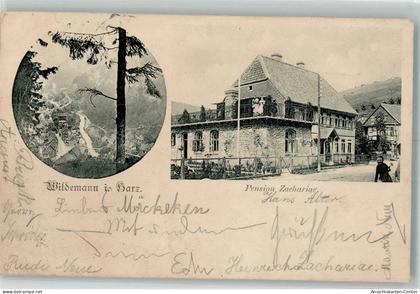 13565292 - Wildemann