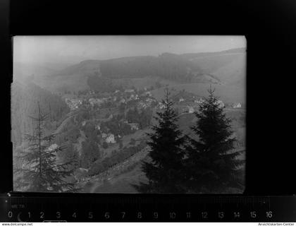 30023239 - Wildemann