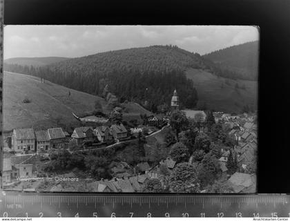 30047362 - Wildemann