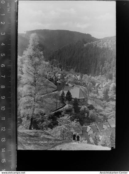 30047448 - Wildemann