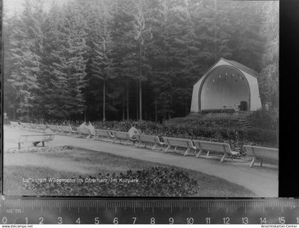 30047475 - Wildemann