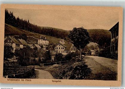 39929017 - Wildemann