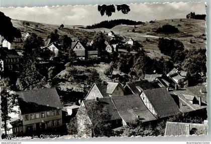 39959768 - Wildemann