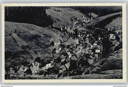 50732537 - Wildemann