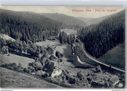 50846349 - Wildemann