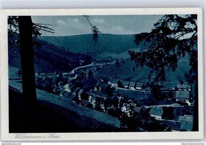 51477061 - Wildemann