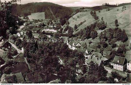 Wildemann Harz Fliegeraufnahme