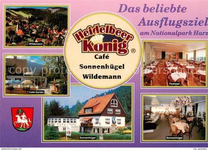 Wildemann Heidelberg Koenig Cafe Wildemann Cafe Garten Festsaal Sonnenhuegel