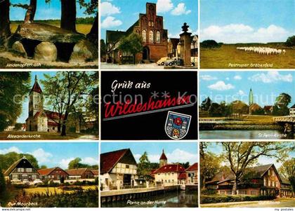 Wildeshausen Heidenopfertisch Rathaus Pestruper Graeberfeld Alexanderkirche St P
