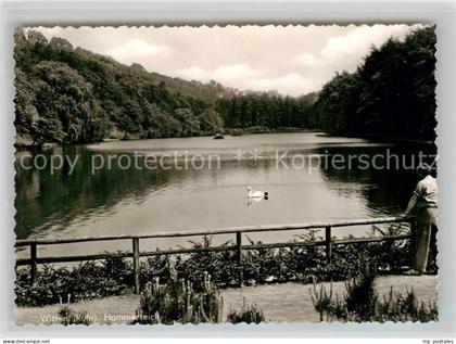 Witten Ruhr Hammerteich