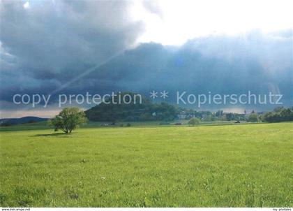 Wittlich Panorama