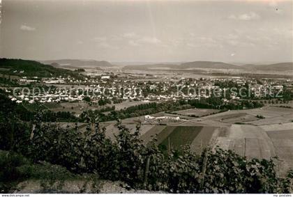 Wittlich Panorama