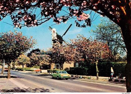 Wittmund Hauptstrasse Windmuehle Baumbluete