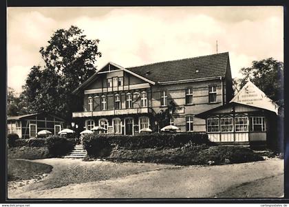 AK Wörlitz, Ferienheim-Gaststätte Elbterrasse