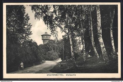 AK Wolfenbüttel, Wallpartie mit Birken