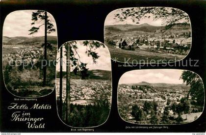 Zella-Mehlis Blick vom Regenberg Lorchenberg