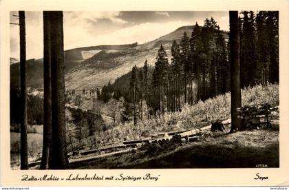 Zella-Mehlis - Lubenbachtal