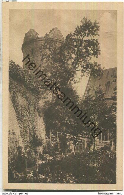 Zerbst - Francisceum - Mauerturm