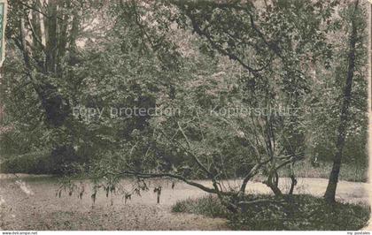 Zetel Friesland Niedersachsen Partie im Urwald