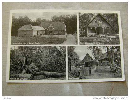 Zetel - Jugendherberge - Jagdhütte im Urwald -    D81283