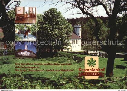 Zeulenroda-Triebes Pension Kastanienhof