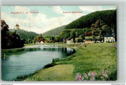 10743395 - Ziegenrueck , Thuer