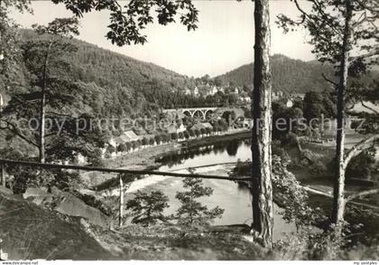 Ziegenrueck Saalepartie