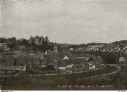 Schloss Gemuenden o