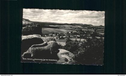 Schoena oewenwache Kaiserkrone *