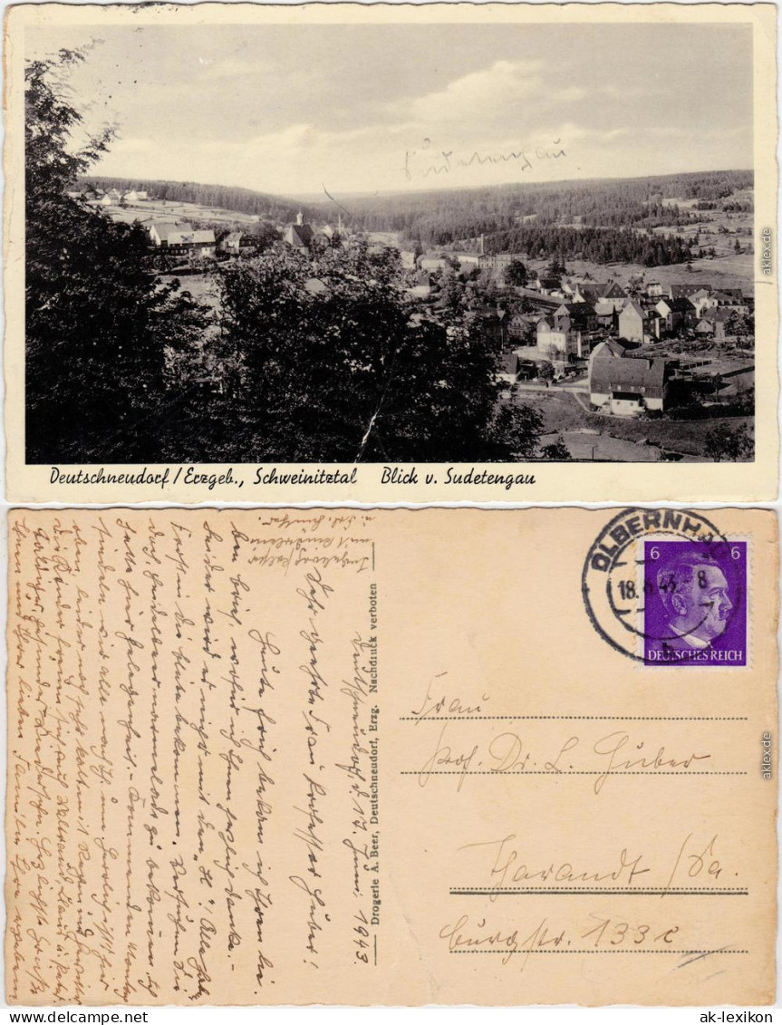 Deutschneudorf Blick von Sudetengau Ansichtskarte 1943