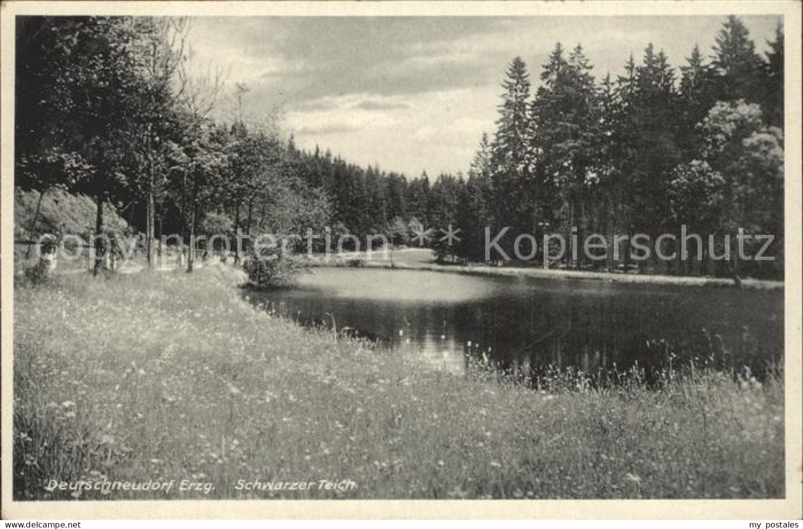 Deutschneudorf Schwarzer Teich