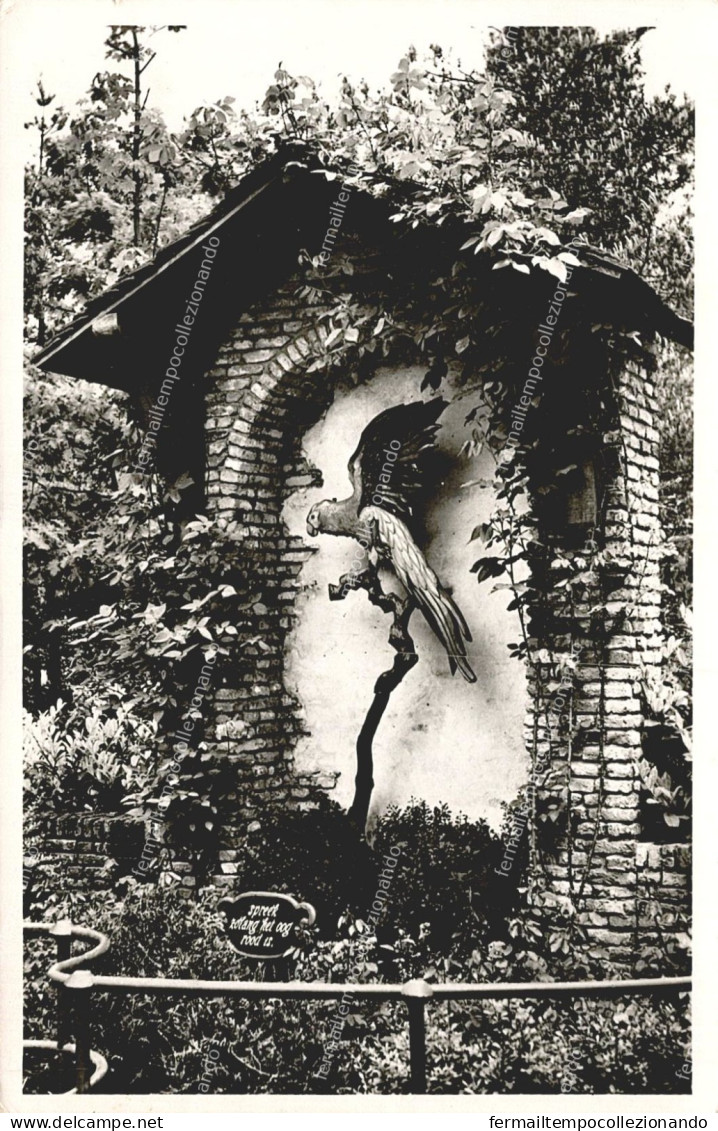 dg454 cartolina cpa natuurpark,de efteling,kaatsheuvel