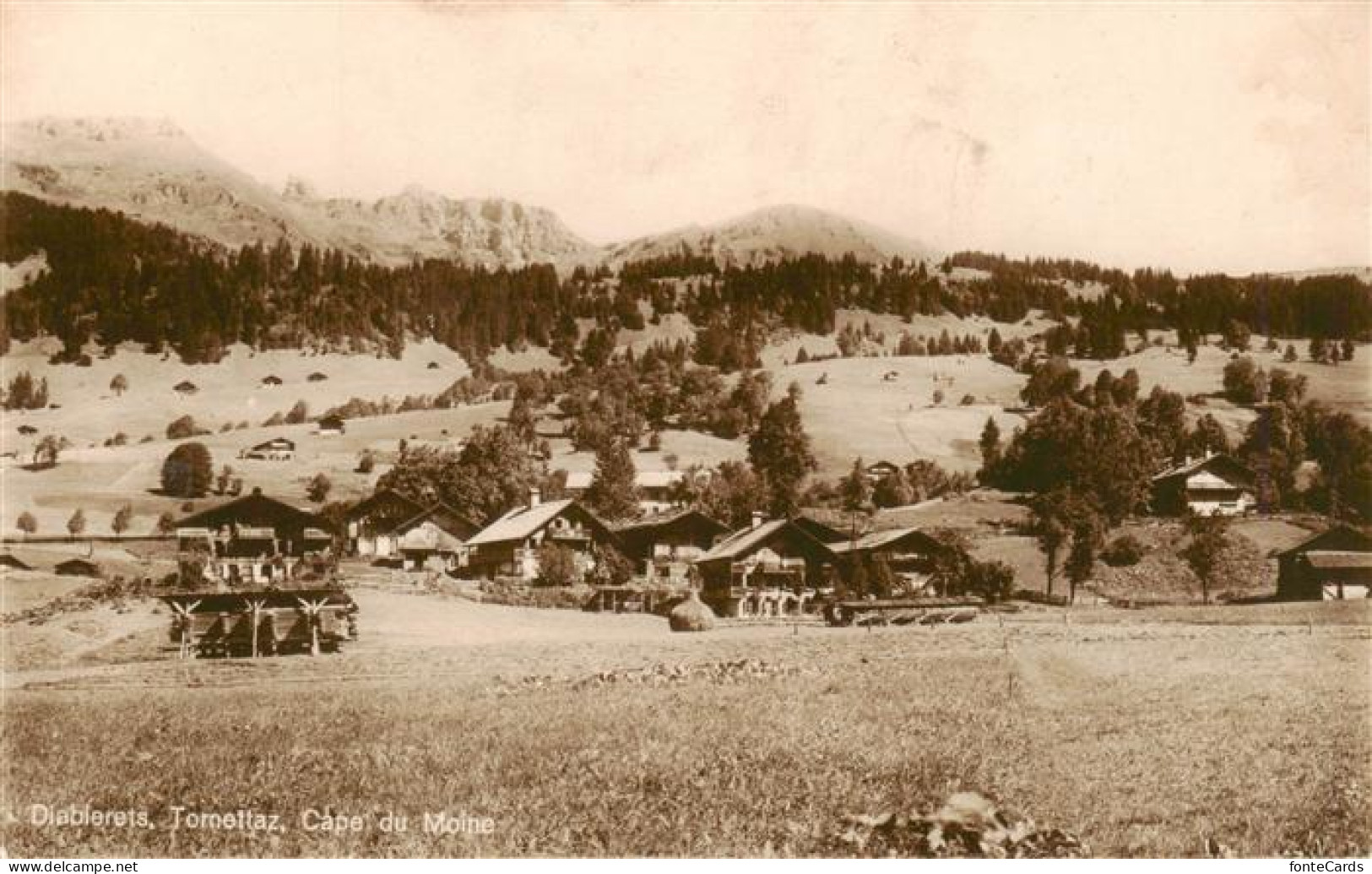 Diablerets Diablerets Les Cape du Moine