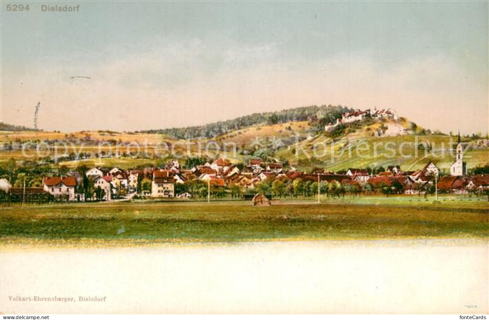 Dielsdorf ZH Panorama