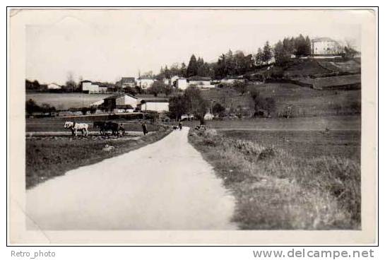 Diemoz, hameau de Pissevache et Chateau Piellat