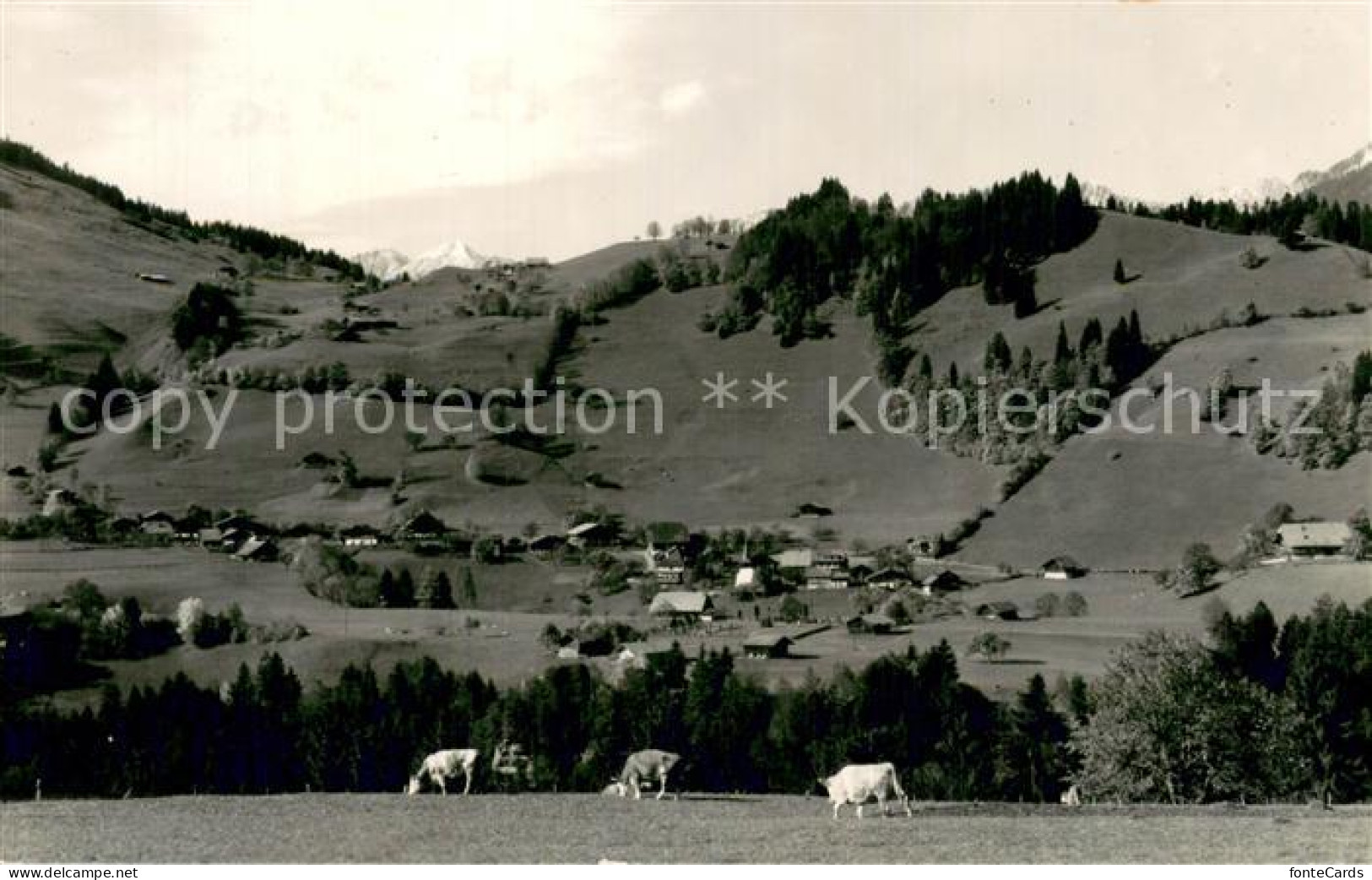 Diemtigen BE Panorama